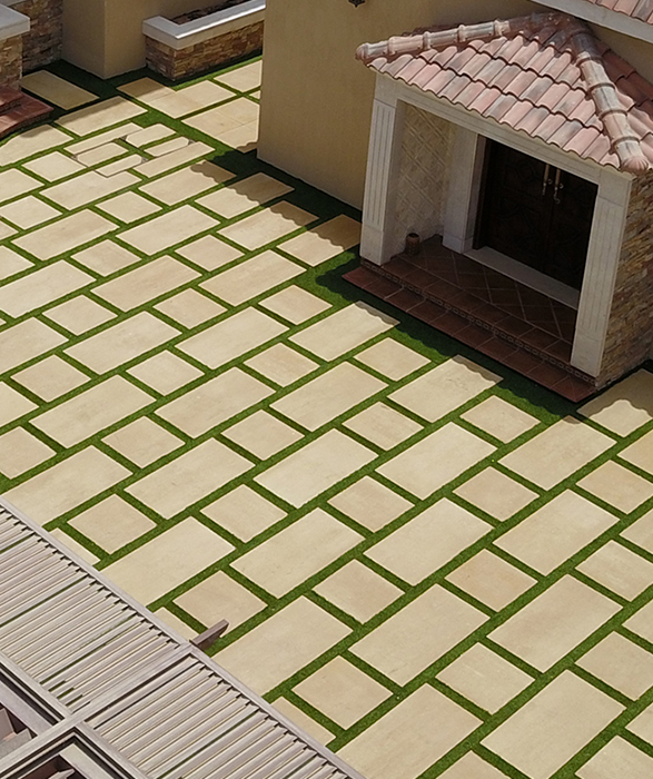 Image-11.jpg